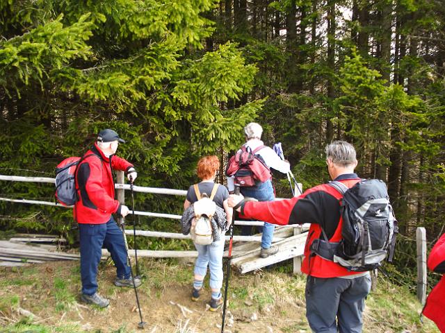 07 Von hier geht es ein Stueck durch den Wald.jpg